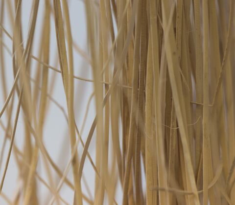 Vikkelschener 500gr.